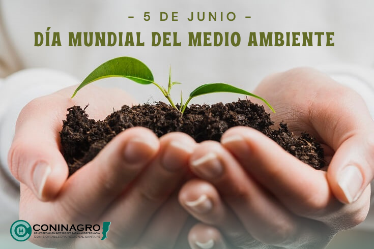 ConinagroSF's tweet image. En este Día Mundial del Medio Ambiente, desde @coninagrosf reafirmamos nuestro compromiso con la sostenibilidad y la protección del planeta💚🌍.  #MedioAmbiente #SomosConinagro
