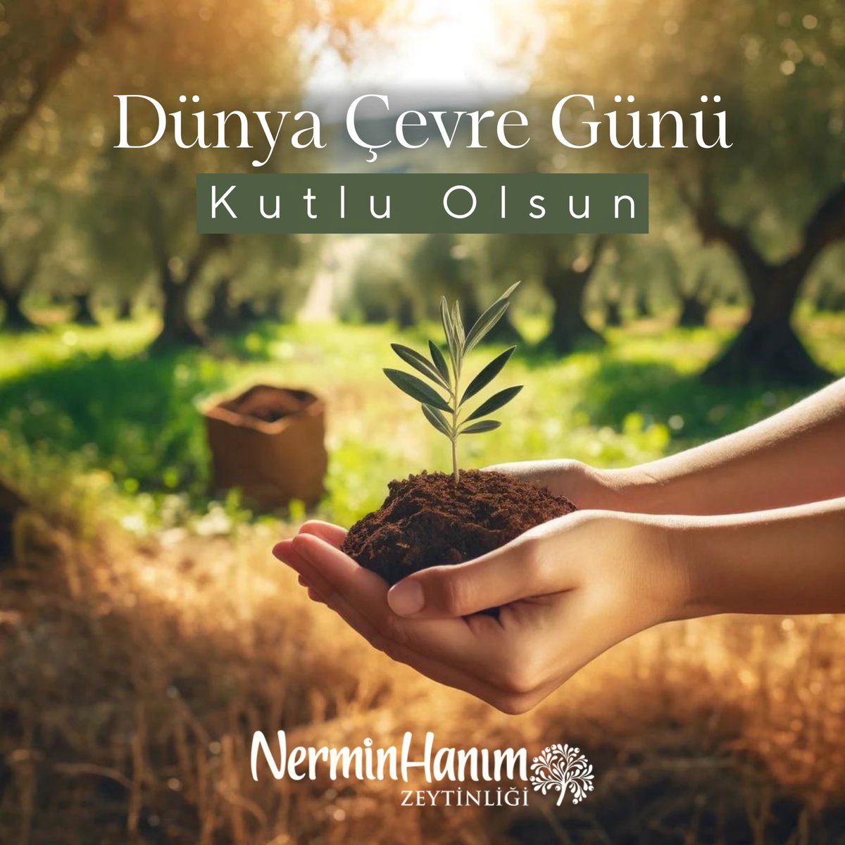 nerminhanimcom's tweet photo. 🌍 Dünya Çevre Günü’nde Geleceğe Bir Adım 🌱

Nermin Hanım Zeytinliği olarak, doğanın bize sunduğu güzellikleri korumanın önemine inanıyoruz.
Toprağa dokunarak, geleceğimizi yeşertiyoruz. Siz de bu yolculuğumuza katılın. 💚🍃 

#NerminHanımZeytinliği #DünyaÇevreGünü #Doğa #ÇevreGünü
