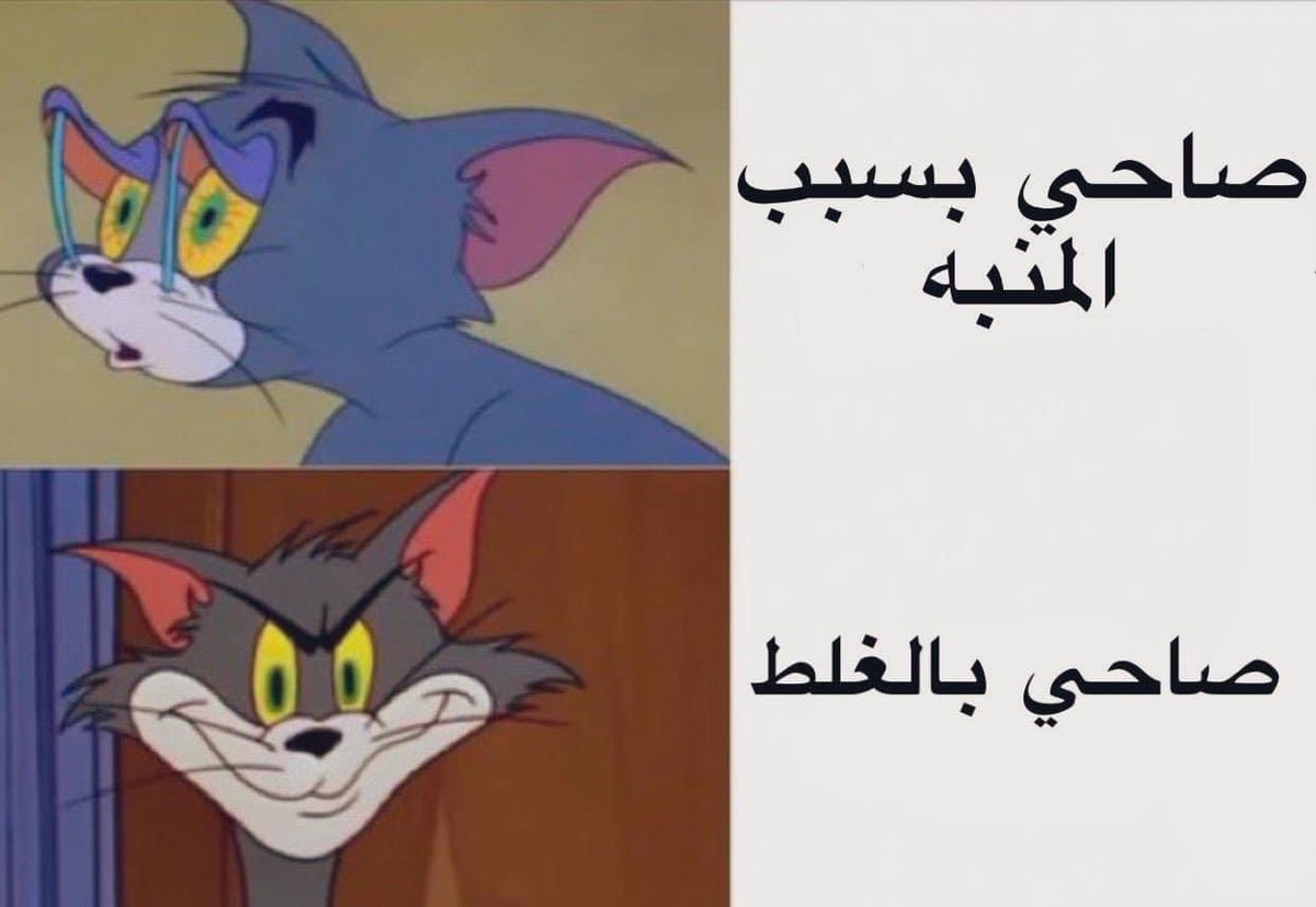 egymeme11's tweet photo. https://t.co/SCmoebnQgN