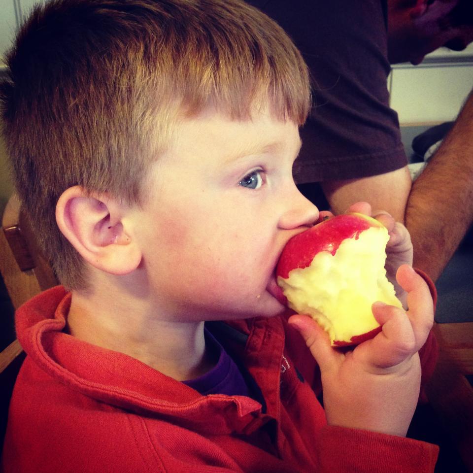 mum2jsiandcx4's tweet photo. So 11 years ago, when @Millwall_kid09 was 4yrs 6 weeks old, he was diagnosed with #highfunctioning #ASD.
This photo 9days later, he explained to us that red apples were not poisoned as u can't taste red, but you can taste the green in a granny Smith. He still believes this now https://t.co/PG0RG4rkOu