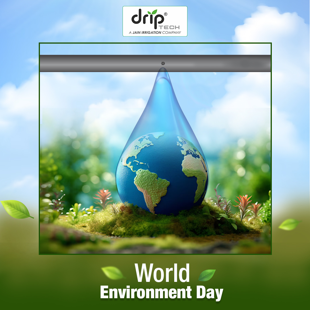 Driptech's tweet image. On this World Environment Day, let&apos;s celebrate sustainable agriculture practices that nurture our planet and secure our future. 🌱🌍 
#worldenvironmentday #sustainablefarming #driptech #driptechglobal