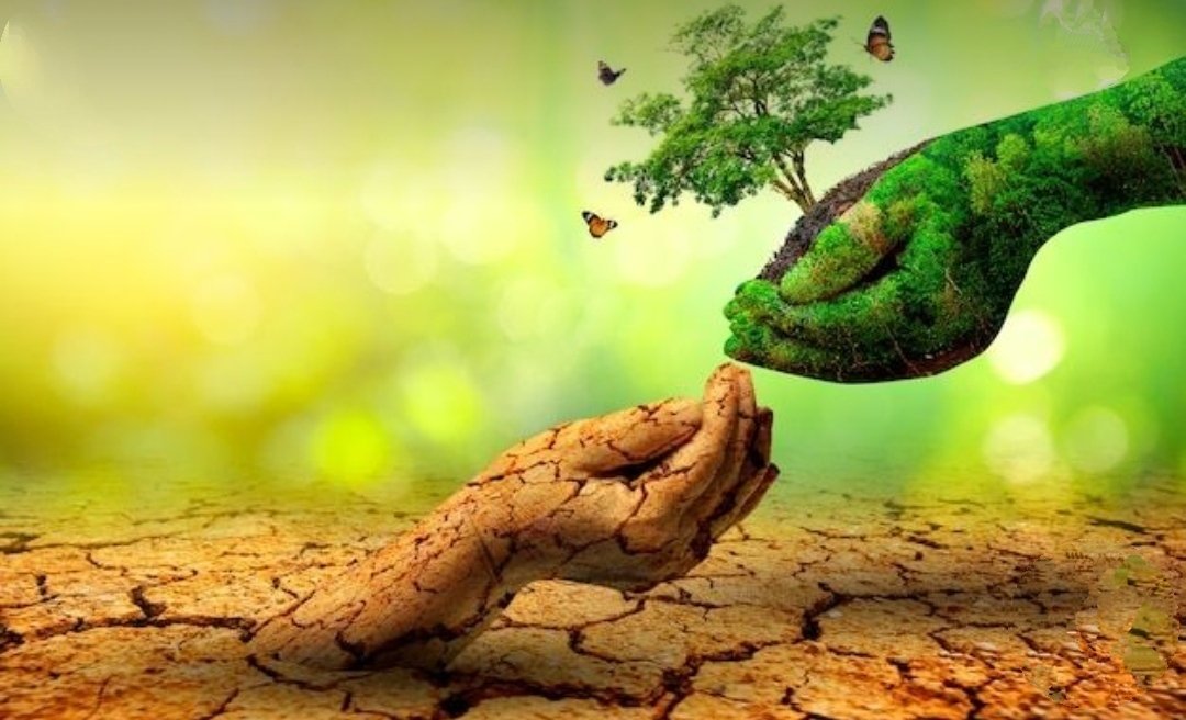 acppnagar's tweet photo. Lets conserve our environment for the benefit of people and the planet
We can't turn back time but we can grow forests revive water sources and restore soils 
We are the generation that can make peace with the land Lets act now for a sustainable future. @BlrCityPolice @DCPEASTBCP https://t.co/vyjkJuZ5fM