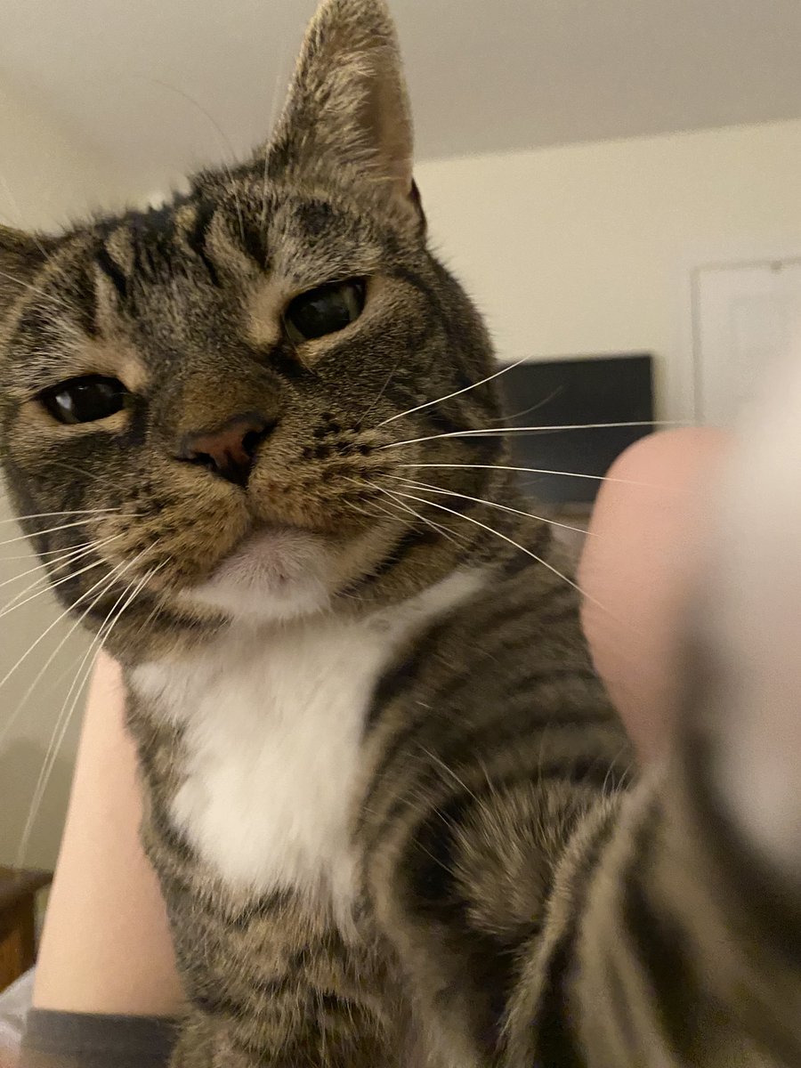 I’ll allow meds, but put that phone down and go back to sleep!