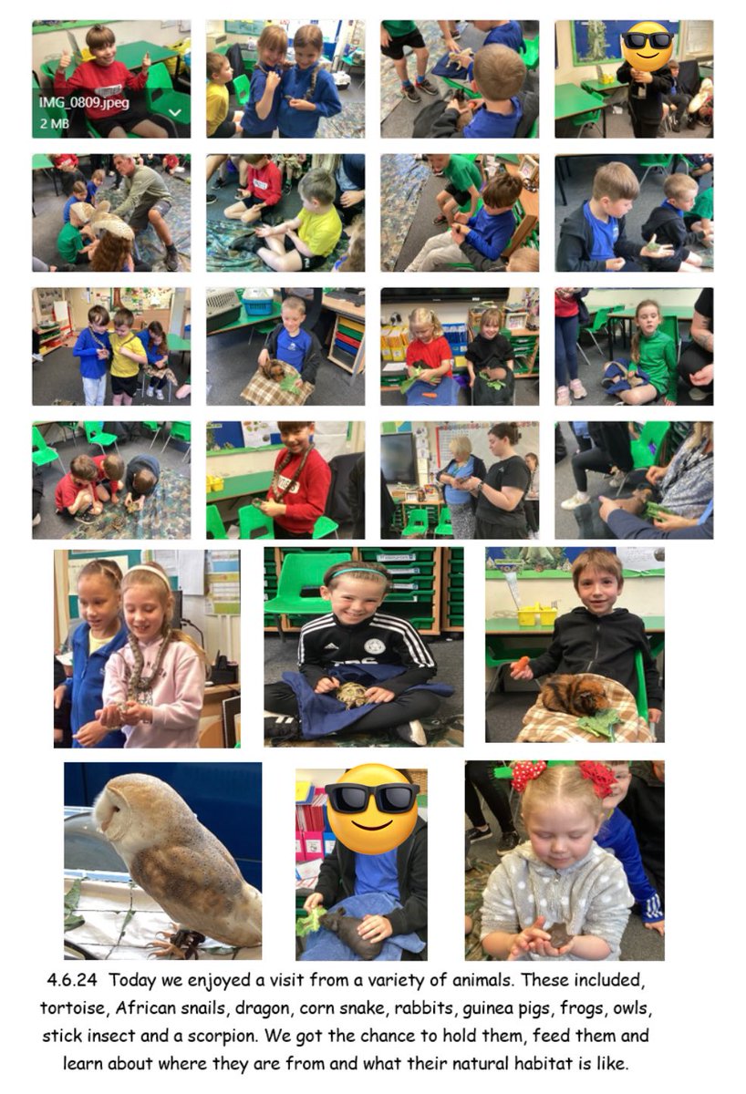 Year 2 loved the animal experience today!  They were so brave and explored with all the different animals! Asked lots of questions and had a brilliant learning experience! 🩵 <a href="/GPSMrsHarrison/">Mrs Harrison</a> <a href="/GreystokePS/">Greystoke Primary</a>