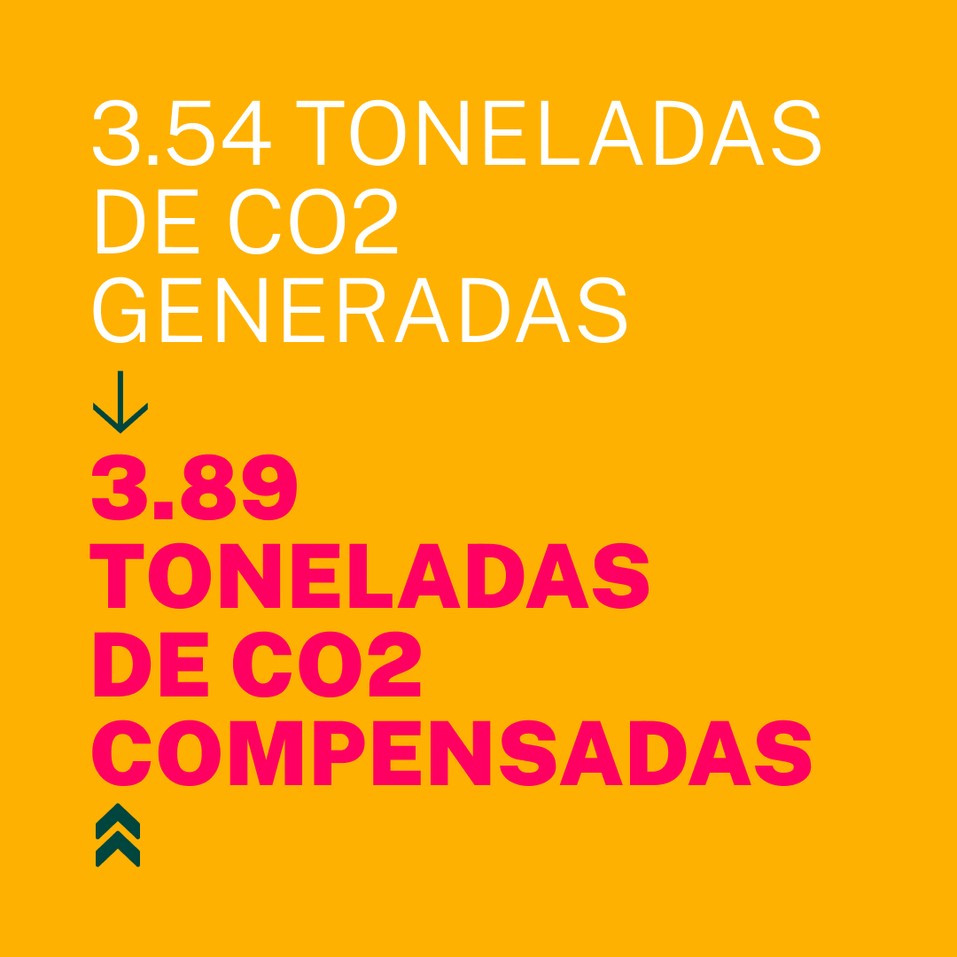 Trabajamos para reducir el coste medioambiental de nuestra empresa, pero eliminarlo es prácticamente imposible.

Por eso, en 2023 compensamos el CO2 que generamos plantando 62 árboles🌳

Te contamos esta y otras medidas en nuestro Impact Report 2023👉bit.ly/3JTi3ED