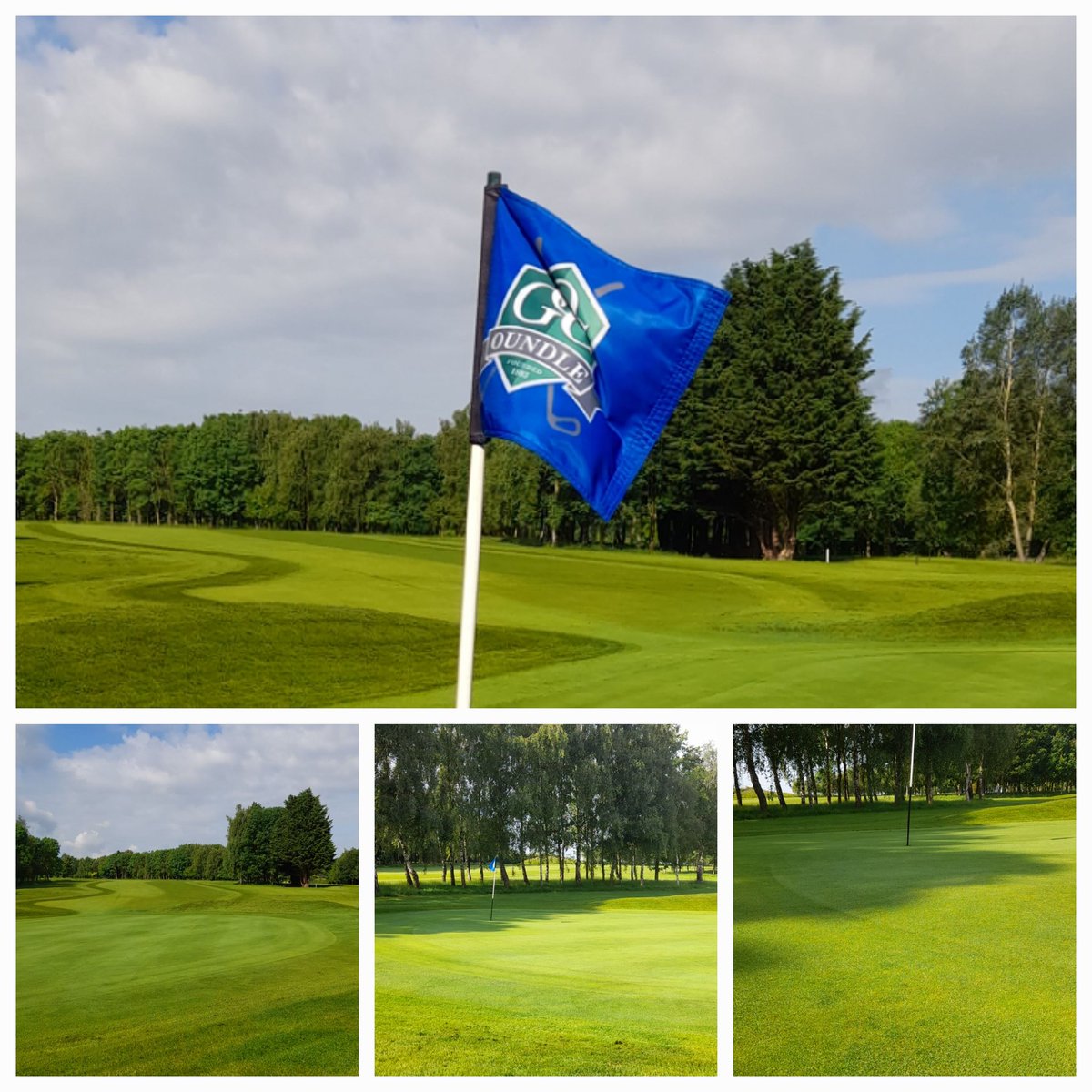 Ian Robins tweet media