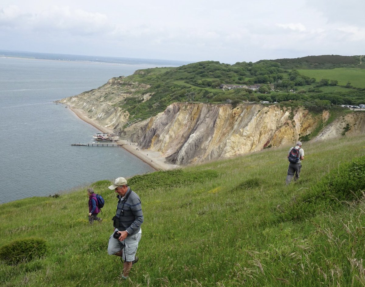 BeckyCMD (@becky_cmd) on Twitter photo Botanising and butterflying on High Down above Alum Bay Isle of Wight. <a href="/duncan_dine/">Duncan Dine</a> with friends Botanising and butterflying on High Down above Alum Bay Isle of Wight. <a href="/duncan_dine/">Duncan Dine</a> with friends