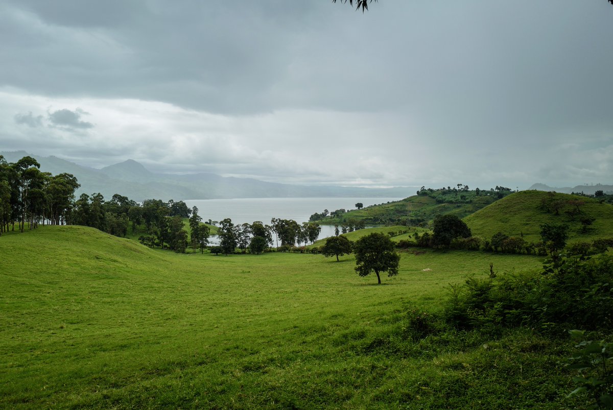 [Annonce]

J'ai quitté la #RDC la semaine dernière, le coeur un peu lourd.

Après sept années de correspondance en RCA, au Mali puis au Congo, je rentre au pays, ouvert à de nouvelles opportunités journalistiques ! 

A vite.
📸Minova, Sud-Kivu, mai 2024.