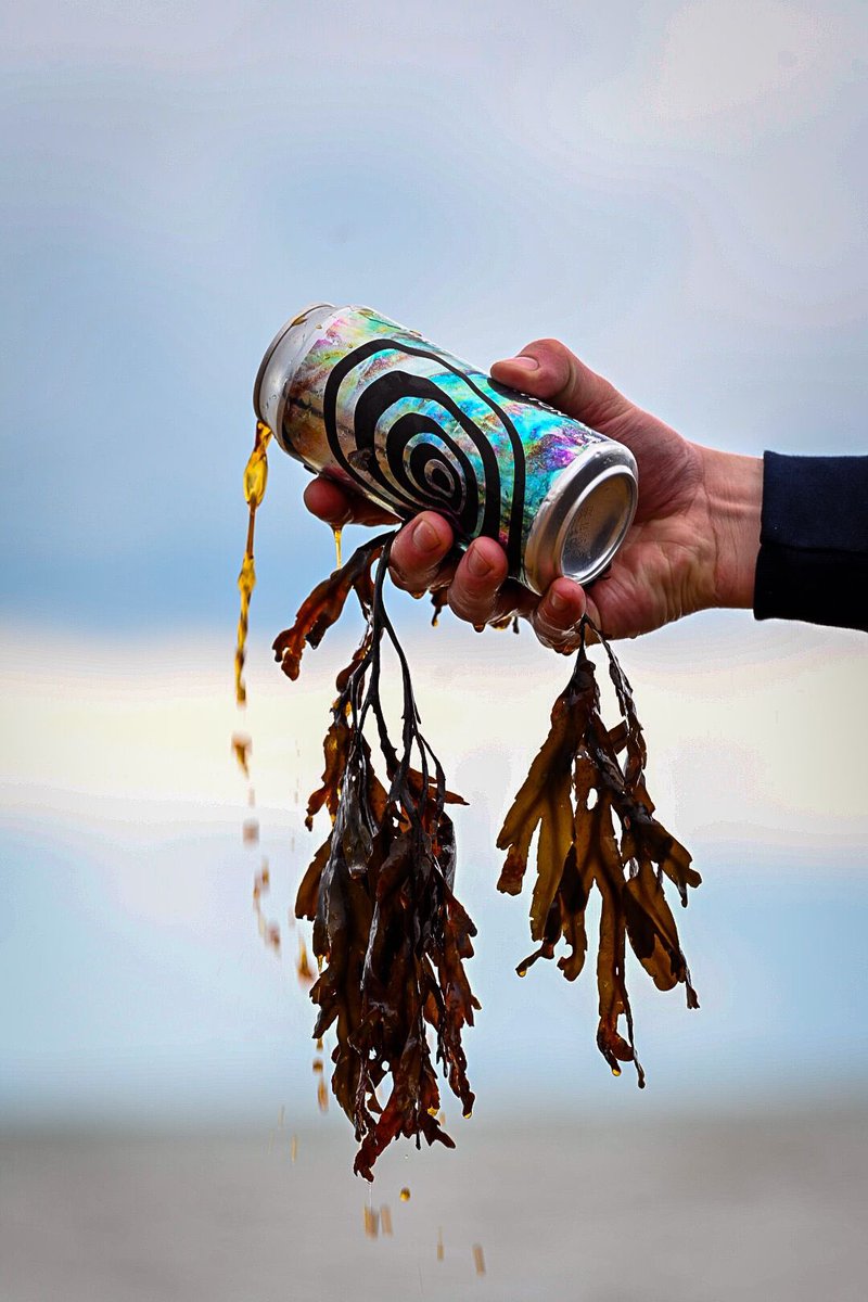 Just pictures of our beer… all day <a href="/UnBarredBrewery/">UnBarred Brewery</a> x Faber