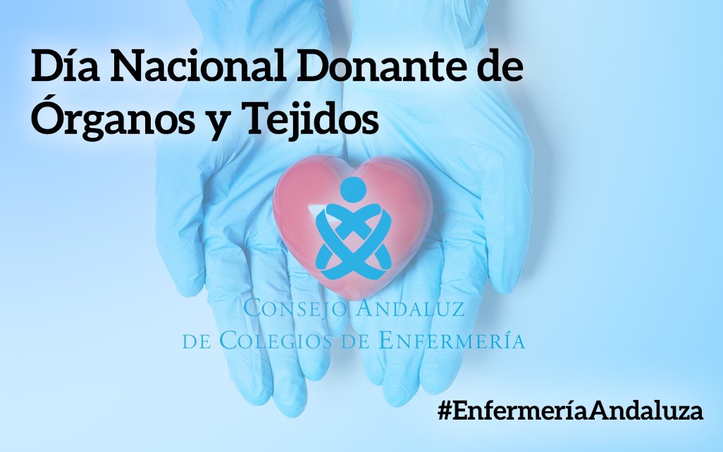 consejo_andaluz's tweet photo. 🫶Hoy en el Día Nacional #DonantedeÓrganos y Tejidos reconocemos la solidaridad y compromiso de los donantes y sus familias, que en Andalucía han dicho sí en un 87% de los casos, permitiendo realizar hasta 512 trasplantes en lo que va de año. https://t.co/UDv2ch2rwj