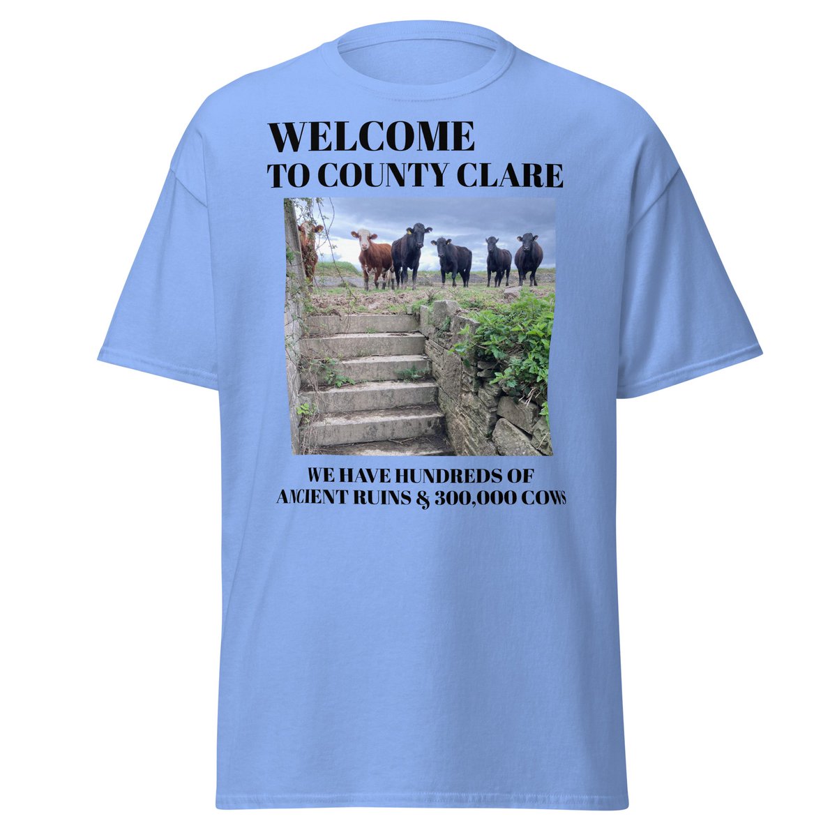 AgoFergus's tweet photo. There is nowhere on this planet can compare with Co. Clare for the incredible range of our historical sites … &amp; with the number of them which have cows running freely amidst the ancient stonework.. 
To wit, I have designed a T Shirt. Check it &amp; 4 more on a Clare History theme at https://t.co/7lw7QkemIz
