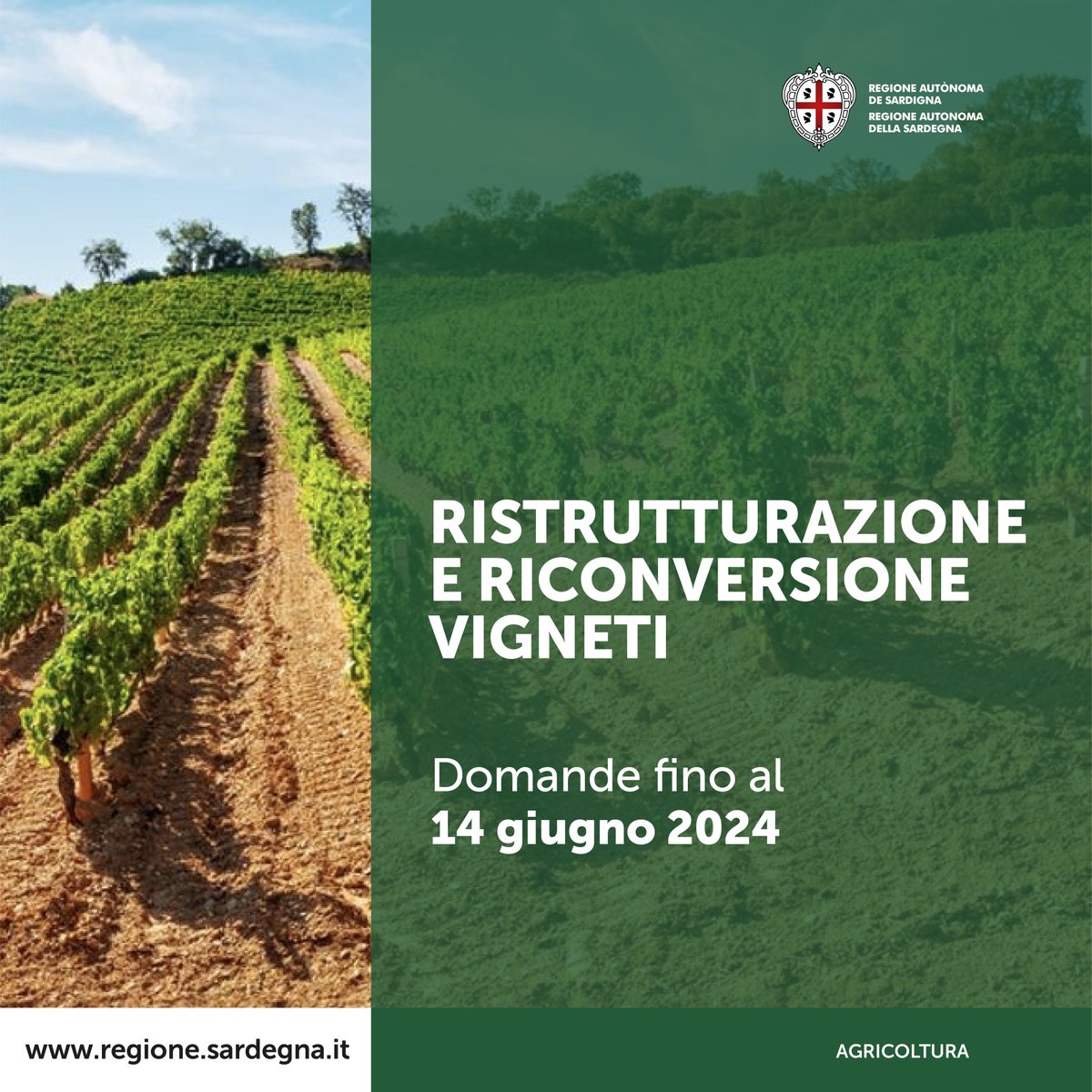 Reg_Sardegna's tweet photo. Ristrutturazione e riconversione dei vigneti, online il bando di sostegno.
Le domande possono essere presentate fino al 14 giugno 2024.
Maggior info https://t.co/haZHzvQM2O
#SardegnAgricoltura #viticoltura #PAC #FEASR #agricoltura https://t.co/ZvIfyBqt1q