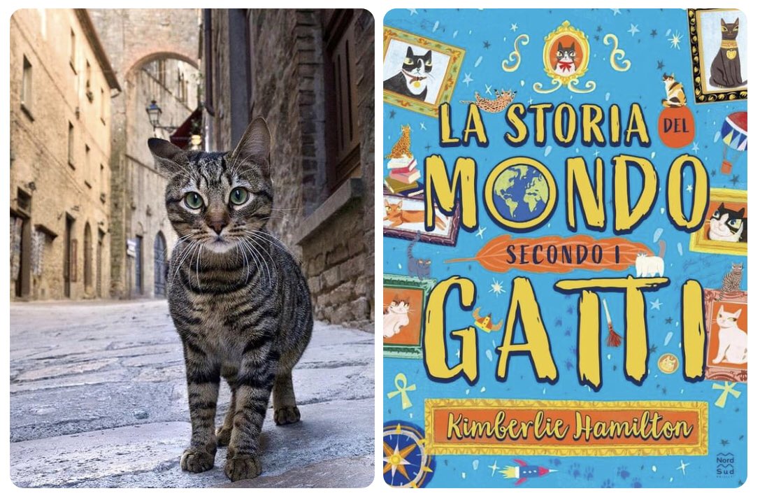 Heard the news? "The History of the World (According to Cats!)” is now available in Italiano! 🇮🇹 <a href="/scholasticuk/">Scholastic UK</a> <a href="/SCB_RightsUK/">Scholastic UK Rights Team</a>