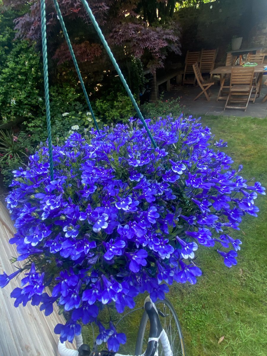 Georgia Mann tweet media