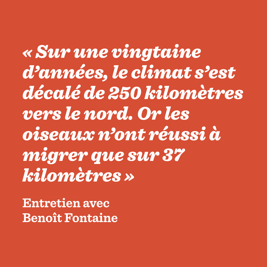 🦜 Nouveau hors-série XL ! Nous vous invitons à rencontrer des humains qui s’émerveillent des facultés exceptionnelles des oiseaux et s’alarment de l’hécatombe en cours : 800 millions ont disparu en trente-sept ans.
🗞️ En kiosque et en librairie !
📮 bit.ly/4bLADKS