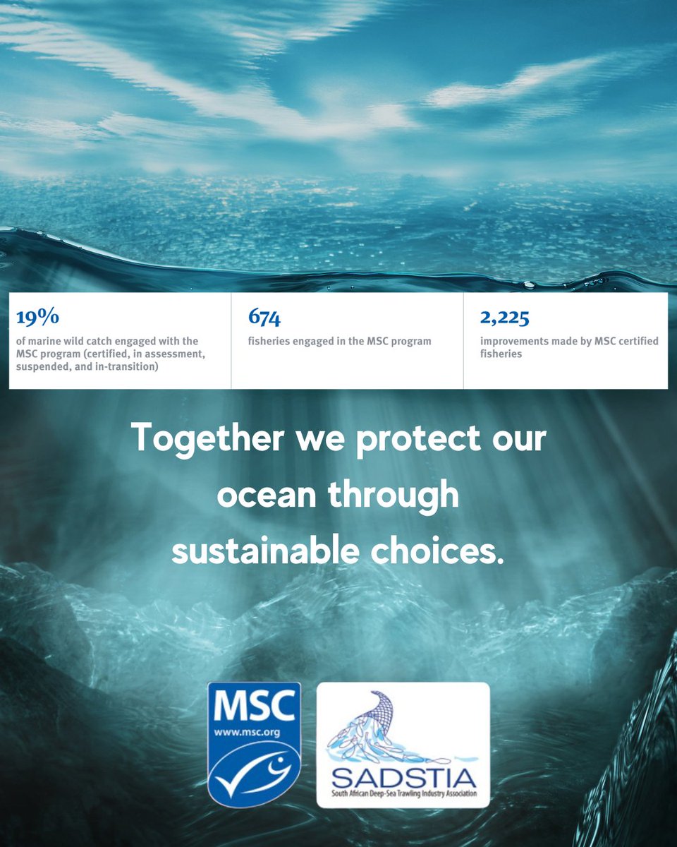 sadstia's tweet photo. #WorldOceansDay shows how sustainable fishing protects our ocean. The SA trawl fishery is one of only two fisheries in Africa to comply with the rigorous MSC Standard for sustainable fisheries. Learn more: https://t.co/rHpdou3gAc #msc #morefish #worldoceansday #sustainablefishing https://t.co/DtNGNAKktM