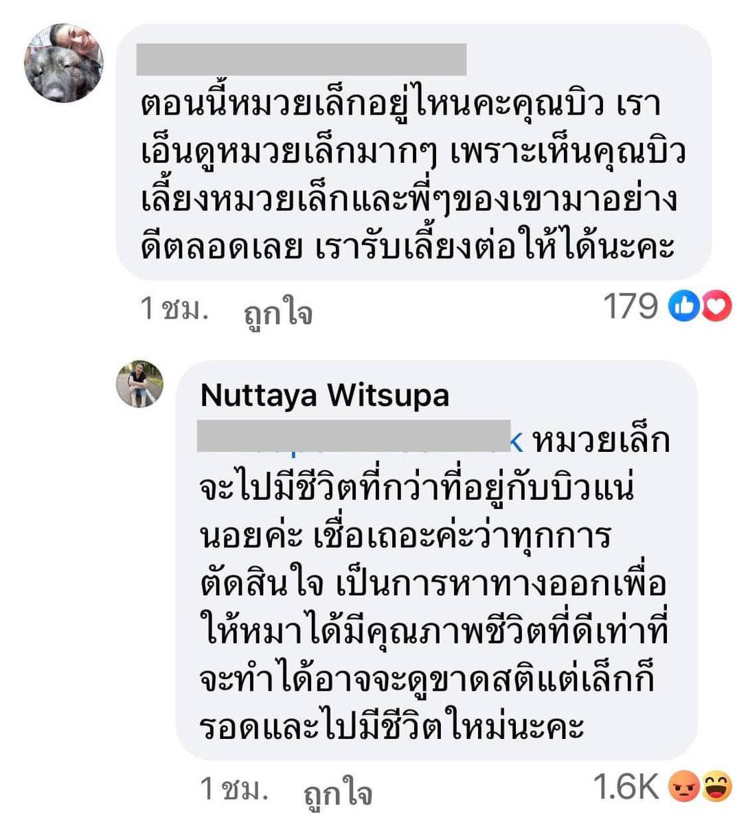 aelonnahee's tweet photo. 😡มึงก็ท้อง หมาก็ท้องมึงหิวมึงหาแดกได้ หมา #ไซบีเรียน หิวเค้าหาแดกไม่ได้เหมือนมึงนี่eบิว ตรรกะมึค่ตเฮี่ยเลย อ้างได้ไงอยากให้น้องได้ไปอยู่ที่ดีๆ😡 

#หนุ่มกรรชัย #โหนกระแส https://t.co/pviVDa7dD8