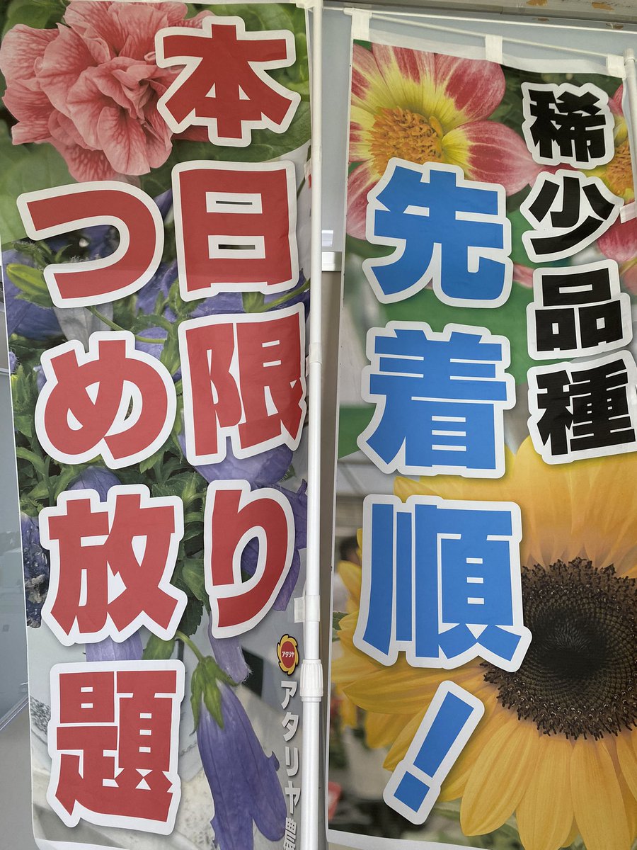 atariya52521's tweet photo. 6月8日(土)に、苗と球根詰め放題やっちゃいますよ！ᕦ(ò_óˇ)ᕤ
場所は、香取市栗源道の駅になります。
時間は10時半予定となります✨
紫陽花やゆり、グラジオラスを用意してあります。無くなり次第終了となりますので、
興味のある方は是非遊びに来て下さい。
#香取市　#道の駅　#特売　#園芸 https://t.co/2JepXjbmbk