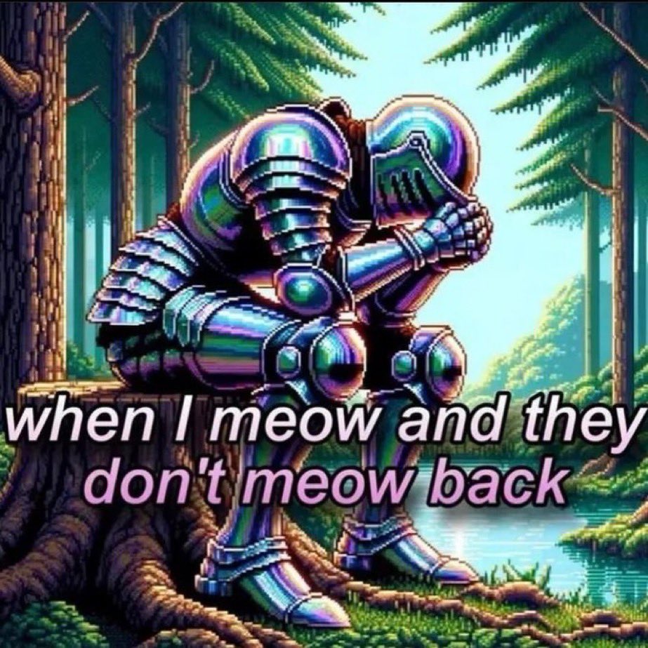 Punch Cat tweet media