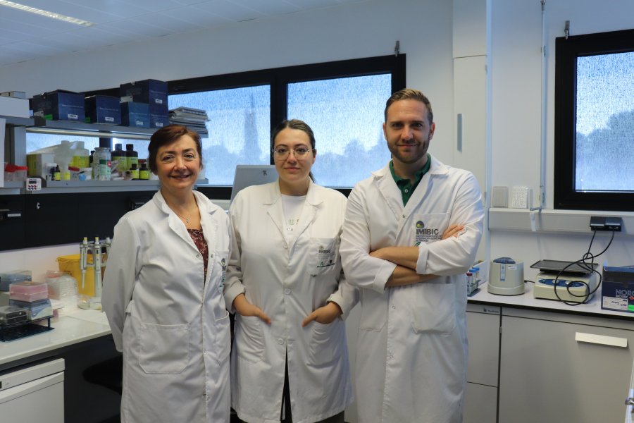 IMIBIC's tweet image. 🗣️🧪Nuevo #avancecientífico‼️👏

👨‍🔬👩‍🔬Investigador@s del grupo @05Enf del @IMIBIC, de la @Univcordoba  y del @HUReinaSofia identifican el perfil molecular de pacientes con artritis reumatoide con mayor riesgo cardiovascular; un avance significativo en la medicina personalizada