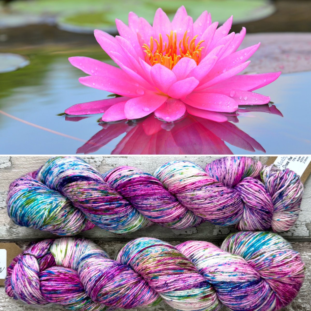 “Lily the Pink”, our final exclusive for @thewoolmontyshow, will not be available online until afterwards. I’m posting the pretty pictures beforehand so everyone can enjoy them and those who are attending can plan ahead.
#mothyandthesquid #yarn #knitting #crochet