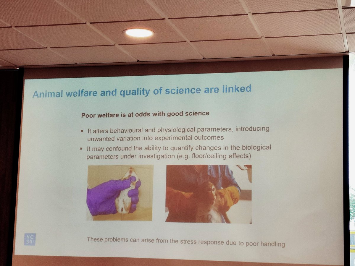 Animal welfare and quality of science are linked

#OpenAcademy2024
#EurordisOpenAcademy

🔬🤍🐁