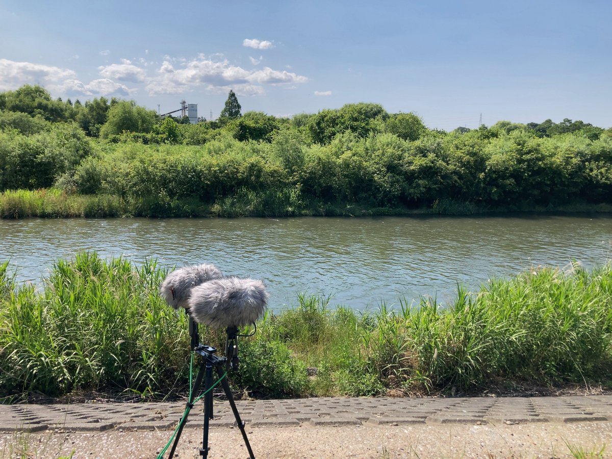 Capturing gentle river.
#fieldrecording