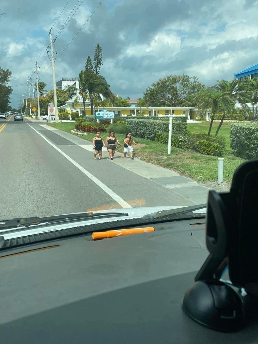 They must be going for a lil walk