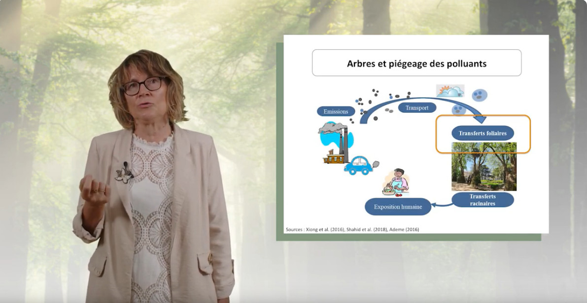 UntUved's tweet image. En cette #JourneeMondialedelEnvironnement sur la restauration des terres, la désertification et la résistance à la sècheresse #GénérationRestauration, voici une sélection de ressources sur cette thématique, qui sont présentes sur le Pôle national de ressources pédagogiques #TEDS