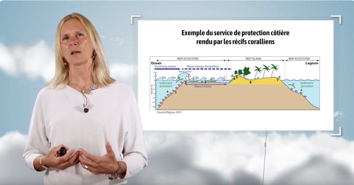 UntUved's tweet image. En cette #JourneeMondialedelEnvironnement sur la restauration des terres, la désertification et la résistance à la sècheresse #GénérationRestauration, voici une sélection de ressources sur cette thématique, qui sont présentes sur le Pôle national de ressources pédagogiques #TEDS