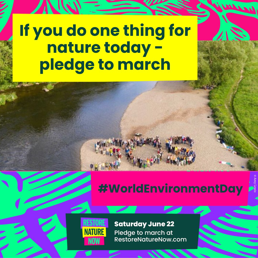 WCL_News's tweet photo. 🌎It’s #WorldEnvironmentDay! If you do one thing for nature today please pledge to march with us on 22 June

🚶🏾‍♂️Thousands of people are taking to the streets of London to demand that our politicians #RestoreNatureNow👇

https://t.co/KvsgM4ctRi https://t.co/49EEnwRY9z