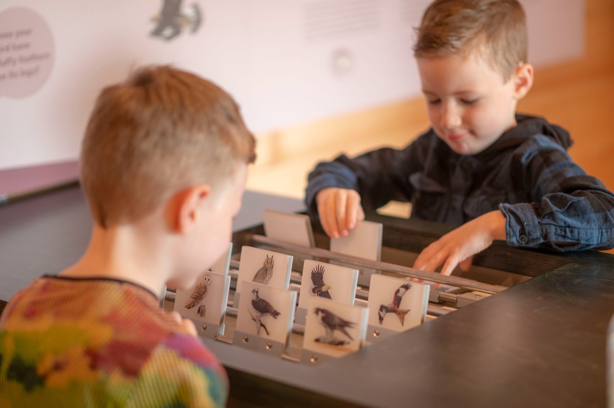 Studioarc tweet media