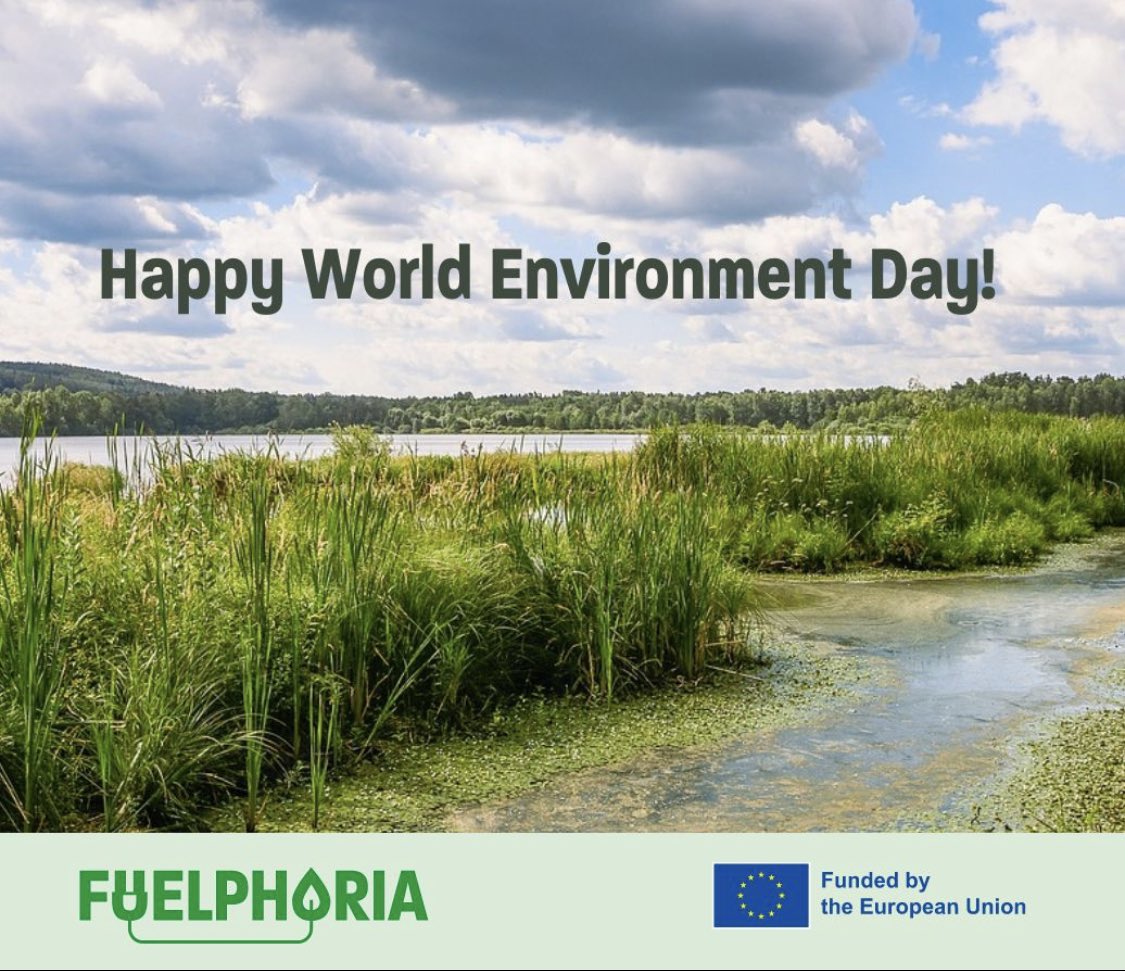 Happy #WorldEnvironmentDay! ☀ 🌻 

Today and everyday, FUELPHORIA celebrates the environment as we work hard to ensure a future where our planet can thrive! 🌍 

Let us know how you help to #ProtectOurEnvironment! 👇🏽