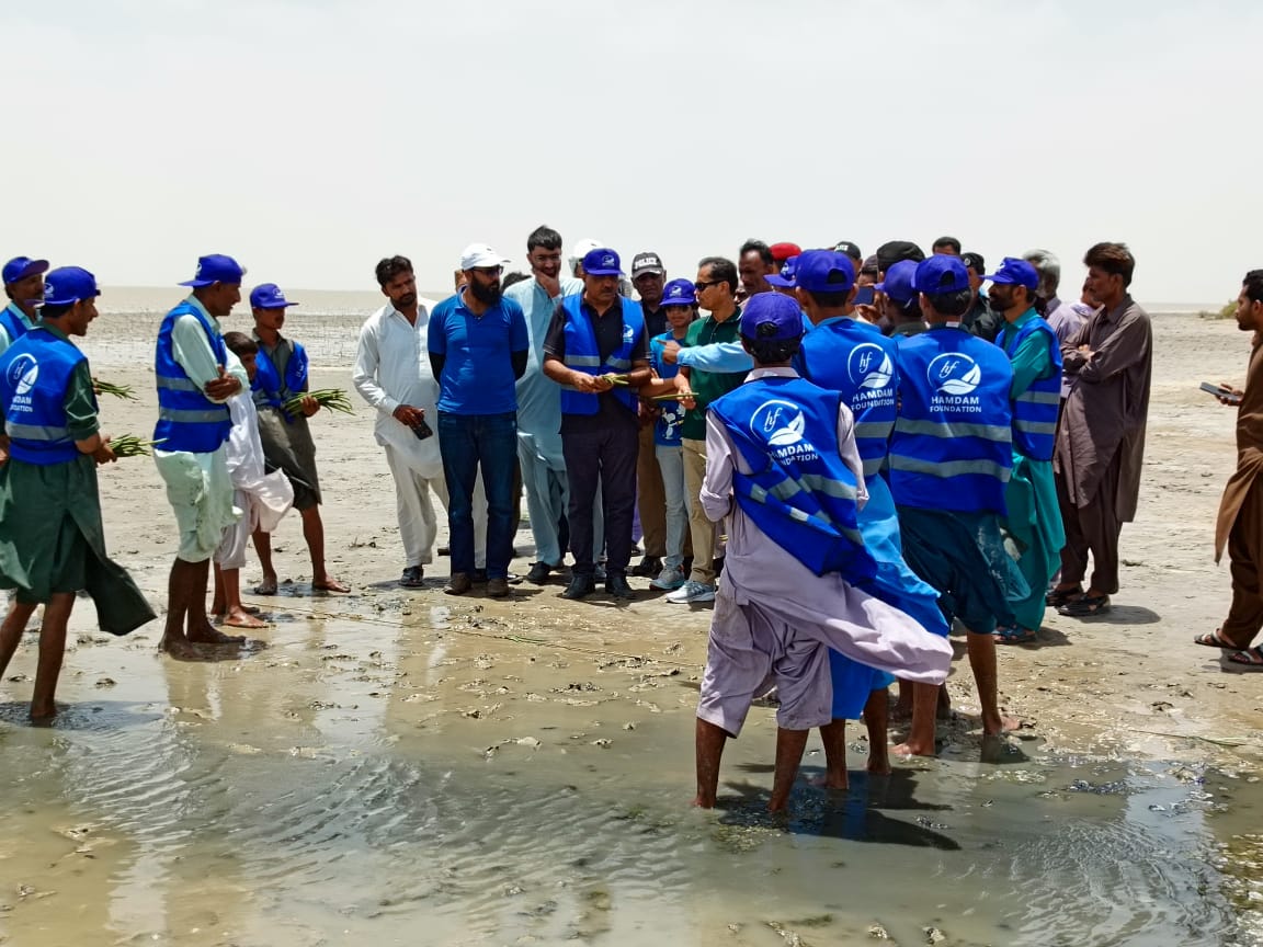 HamdamF_Pak's tweet photo. HF Mangroves Team Brief Guest https://t.co/K2tCESwnf0
