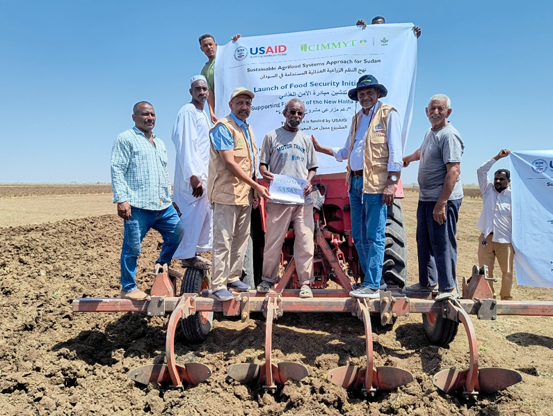 CIMMYT's tweet photo. #CIMMYT’s #SASAS program in #Sudan, with @USAID funding, supports +30 K farmers to cultivate sorghum and groundnuts in New Halfa. SASAS support includes land preparation, seed provision, fertilizers, and herbicides🌱 @FeedtheFuture @DinaEsposito10 👉 https://t.co/Wxh7eeZhi1 https://t.co/xFe4s8Liqa