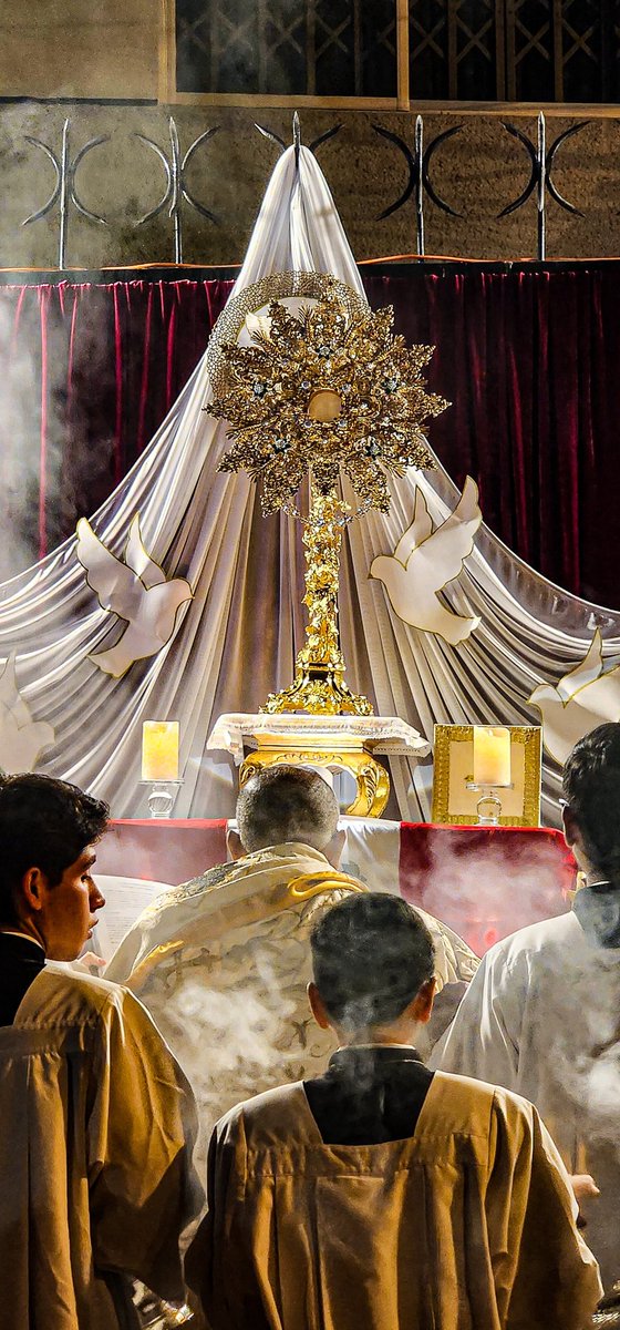 DanielaLegB's tweet photo. Corpus Christi 2024 ❤️🇵🇪 https://t.co/xP3I6Rc9gx