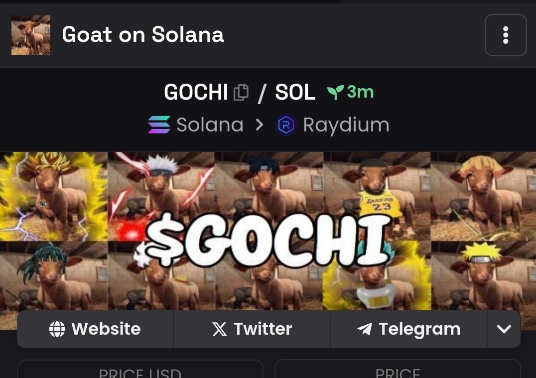 DEXSCREENER UPDATED 
dexscreener.com/solana/DLjUVSY…

#GOCHI #SOLANA #MEMECOIN #X1000000