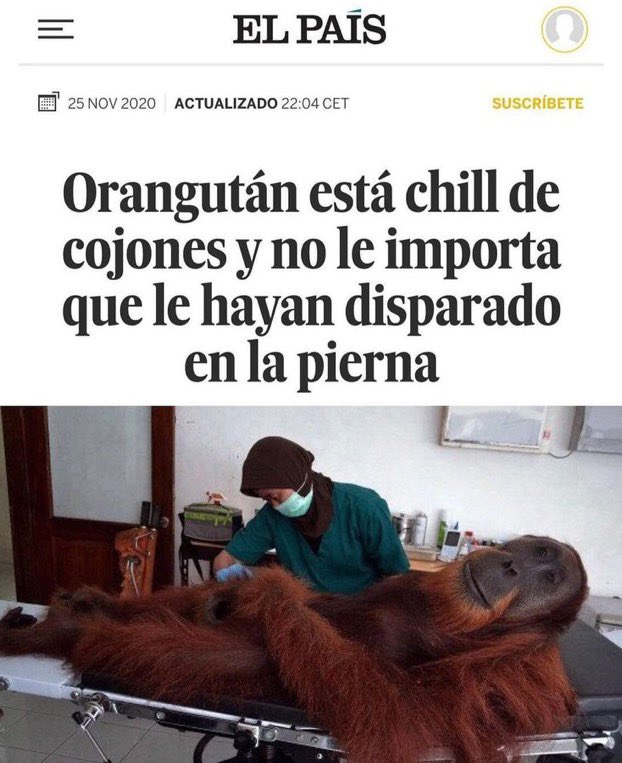 quiero ser este