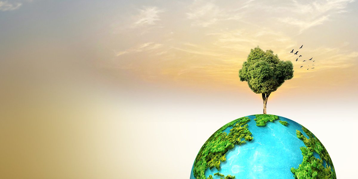 NIHR GHRC for NCDs and Environmental Change (@nihr_ghrc_ncdec) on Twitter photo Between 2030 and 2050, #ClimateChange is expected to cause approximately 250,000 additional deaths per year from #malnutrition, malaria, diarrhoea, and heat stress alone, says <a href="/WHO/">World Health Organization (WHO)</a>.
Urgent action is needed to mitigate these impacts.
#WorldEnvironmentDay #PlanetaryHealth Between 2030 and 2050, #ClimateChange is expected to cause approximately 250,000 additional deaths per year from #malnutrition, malaria, diarrhoea, and heat stress alone, says <a href="/WHO/">World Health Organization (WHO)</a>.
Urgent action is needed to mitigate these impacts.
#WorldEnvironmentDay #PlanetaryHealth