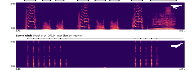 abenitezburraco's tweet photo. Whale communication follows  Menzerath's law (= longer sequences are comprised of shorter elements to maximize communicative efficiency)
https://t.co/120ag1gg0I https://t.co/XkziKbxaZa