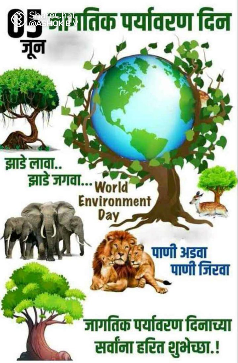 Best Wishes🤗🙏 World Environment Day.