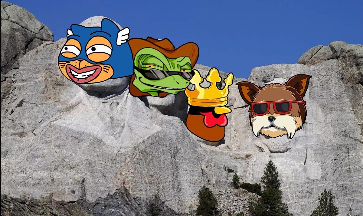 PRESIDENT OF MEME
@Avax #Avencat