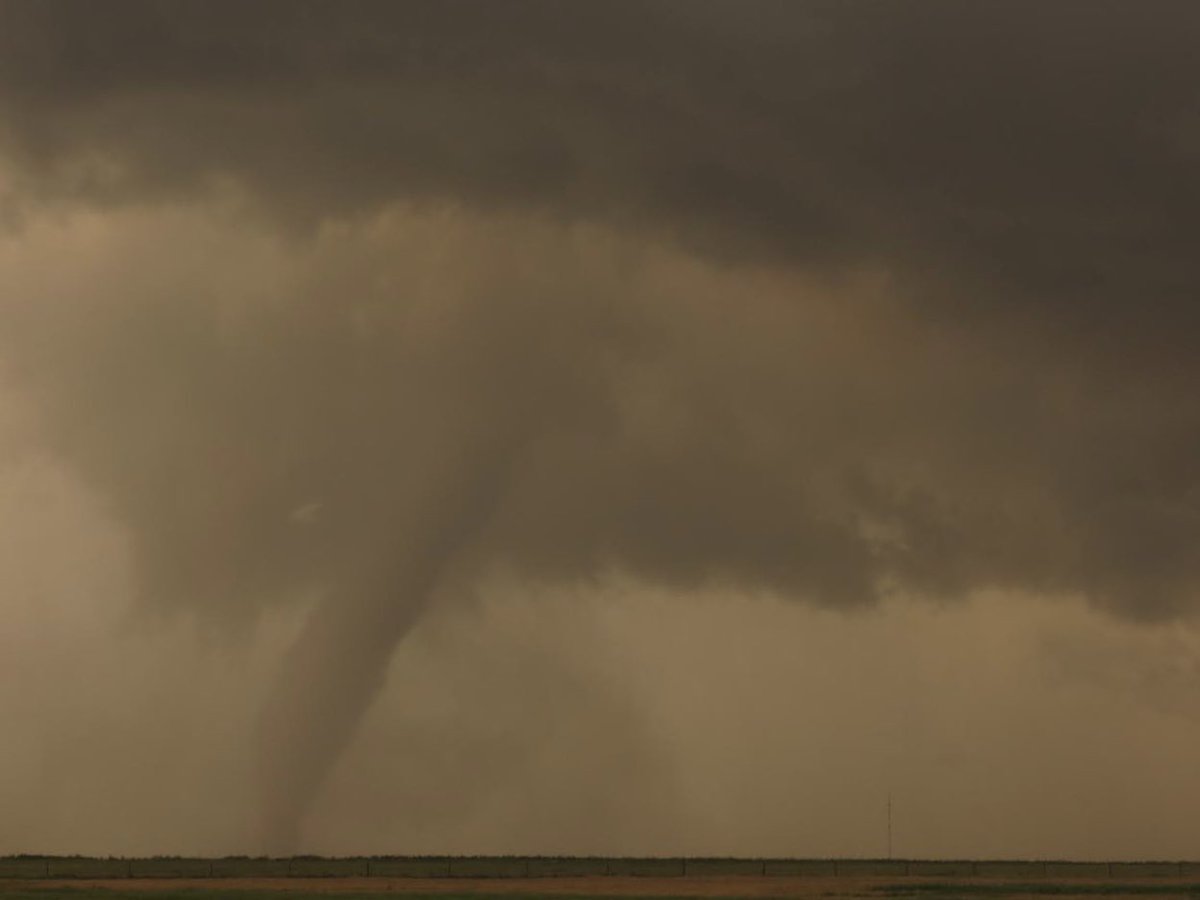 Ethan Kerr tweet media