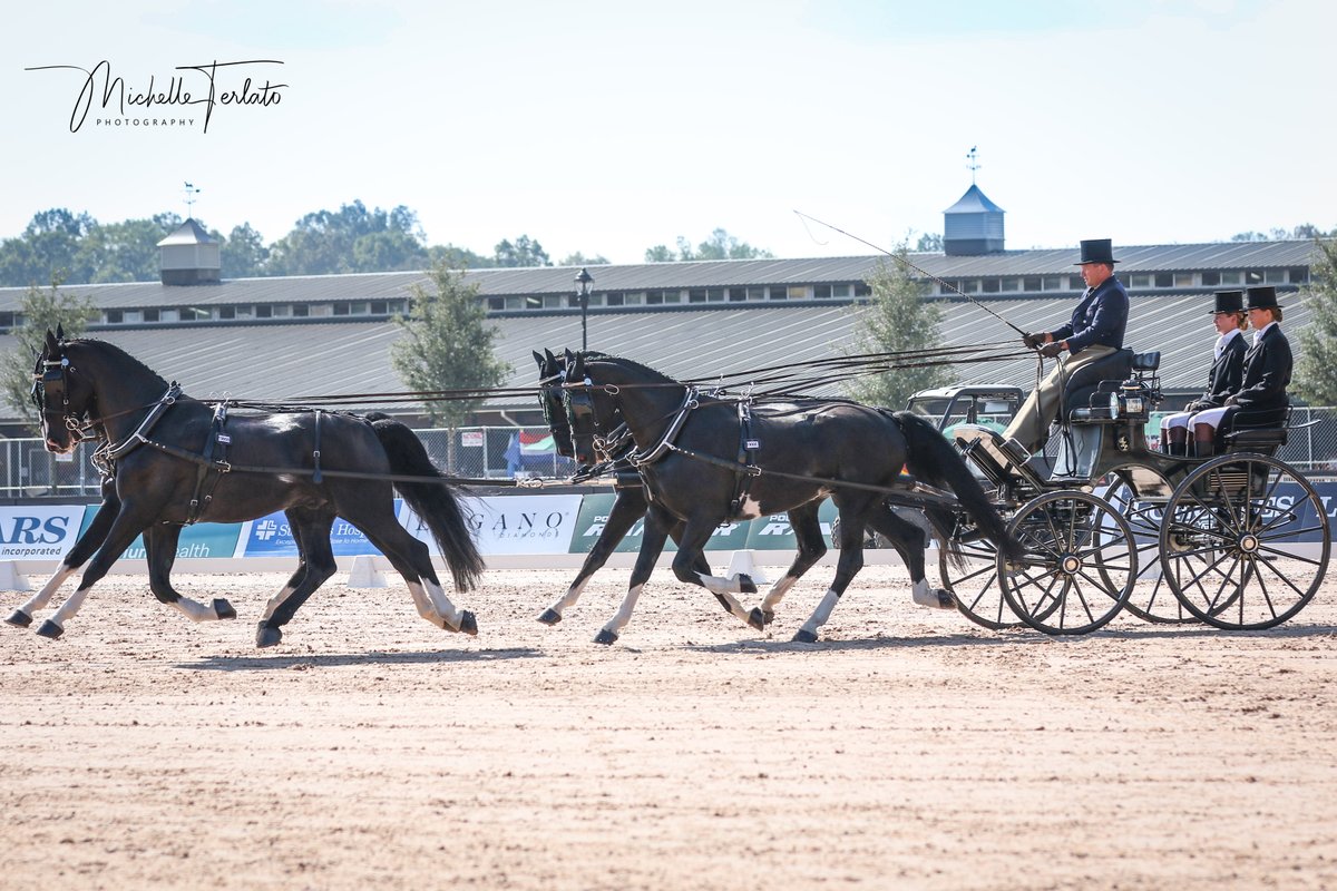 mterlato's tweet photo. Countdown to CHIO Aachen 2024- Excited to photograph and support Aussie 4 In Hand Driving Champion Boyd Exell to hopefully another GOLD ! @EquestrianAus 🔜 Paris Olympics 2024 https://t.co/cBYCtV9qRz