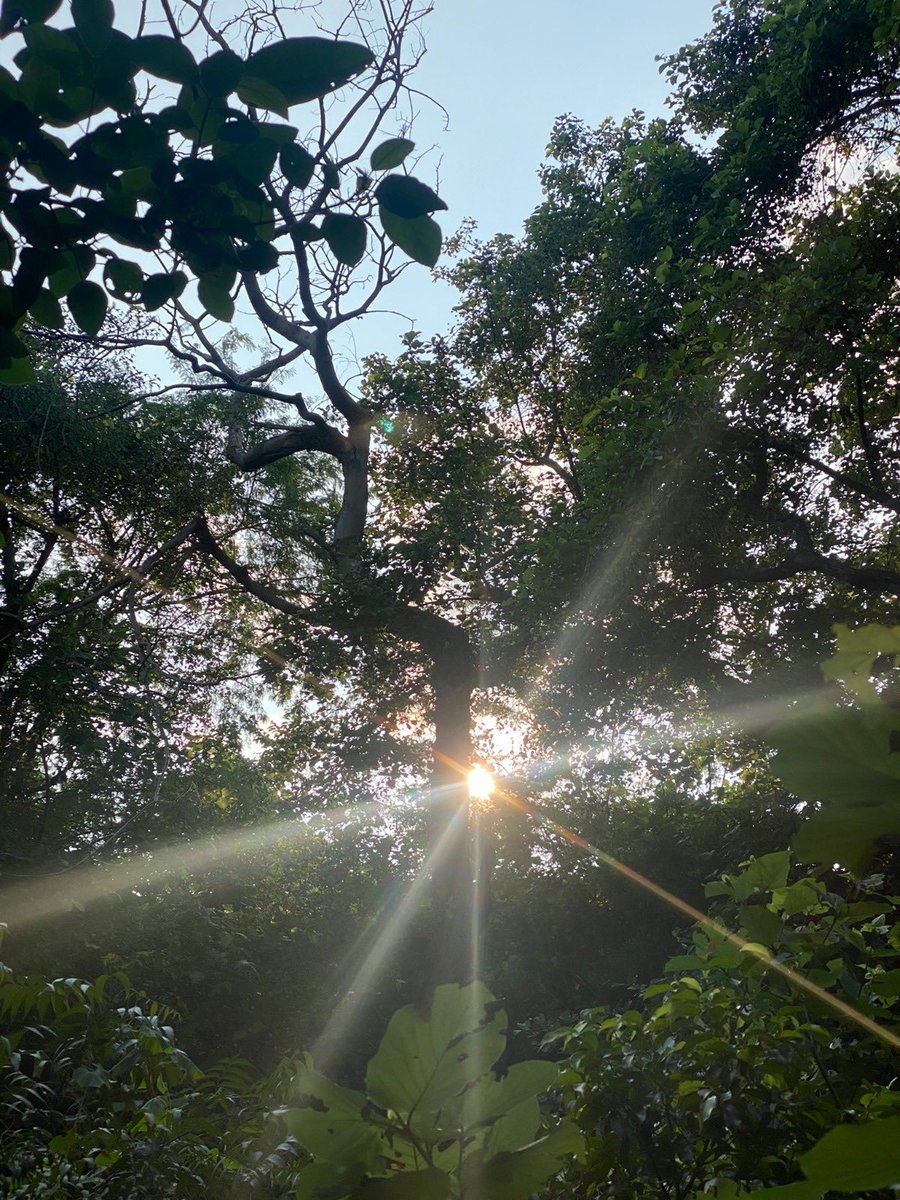 पर्यावरण संरक्षण हमारे स्वयं के स्वास्थ्य एवं अस्तित्व के लिए आवश्यक है, बेहद ज़रूरी है कि हम अविलम्ब सतर्क और जागरूक हों..
इस पर्यावरण दिवस पर आइये कम से कम एक पौधा🌱 अवश्य लगाएं और उसकी देखभाल करें। 
#WorldEnvironmentDay