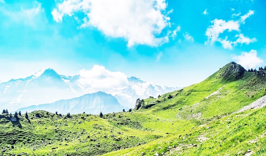 JITENDERTECH's tweet image. World Environment Day 2024 

jitendertech.blogspot.com/2024/06/world-…