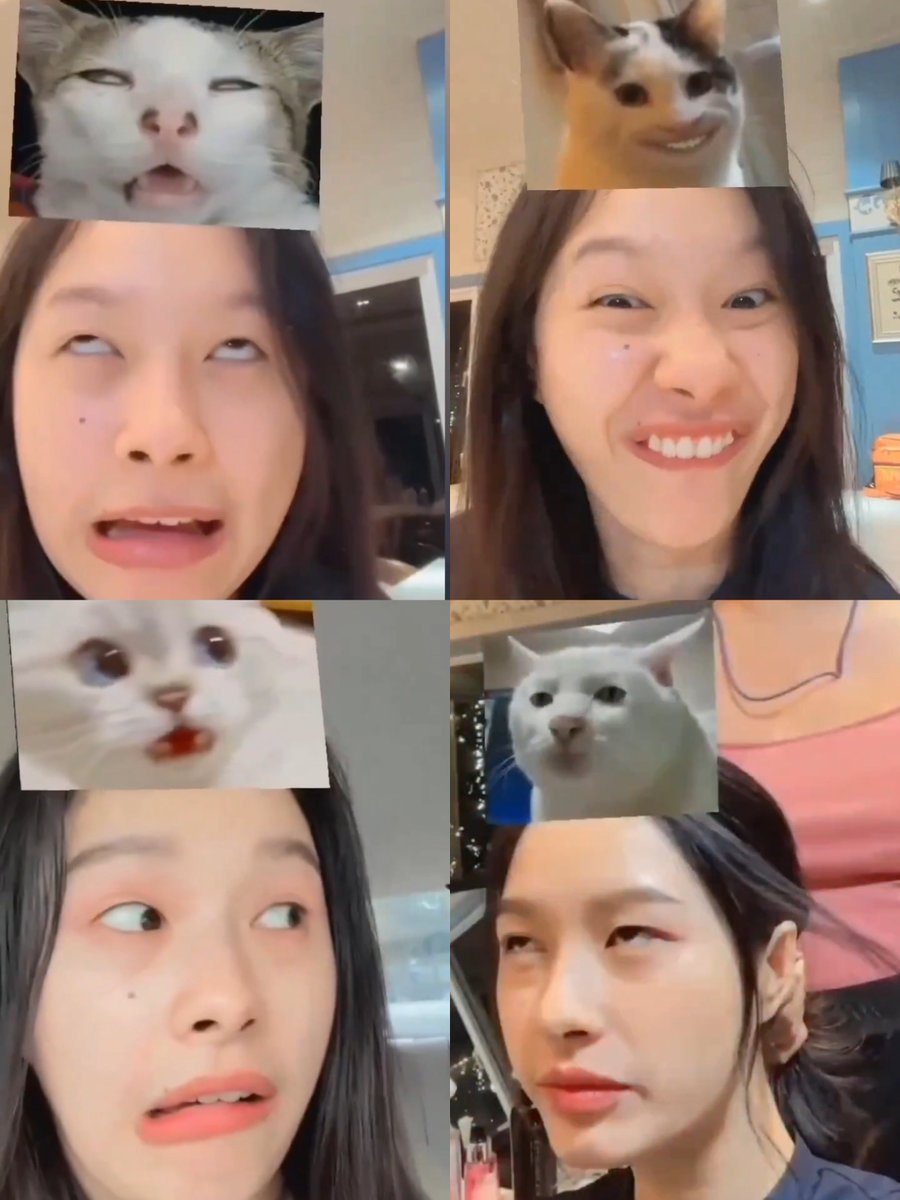 getmewheein's tweet photo. milk pansa, the living meme 😂 https://t.co/N6kcPjjwlQ