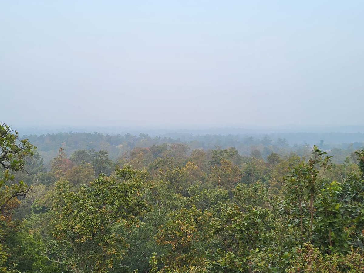 आदिवासी दर्शन (Tribal_philosop) tweet media