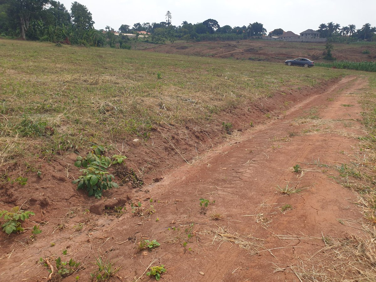 Mrlandug's tweet photo. Discover Your Dream Gayaza Town land at Gayaza Makenke Estate! Secure your 50x100 ft. plot for just 60M Negotiable
20kms from City Square Kampala. Act now to invest in your future!
0780315383 | 0709083330
#RealEstateDeals #Dreamland  #landHunting #PriceSlash  #SpecialOffers https://t.co/FP4cOrU8ZN