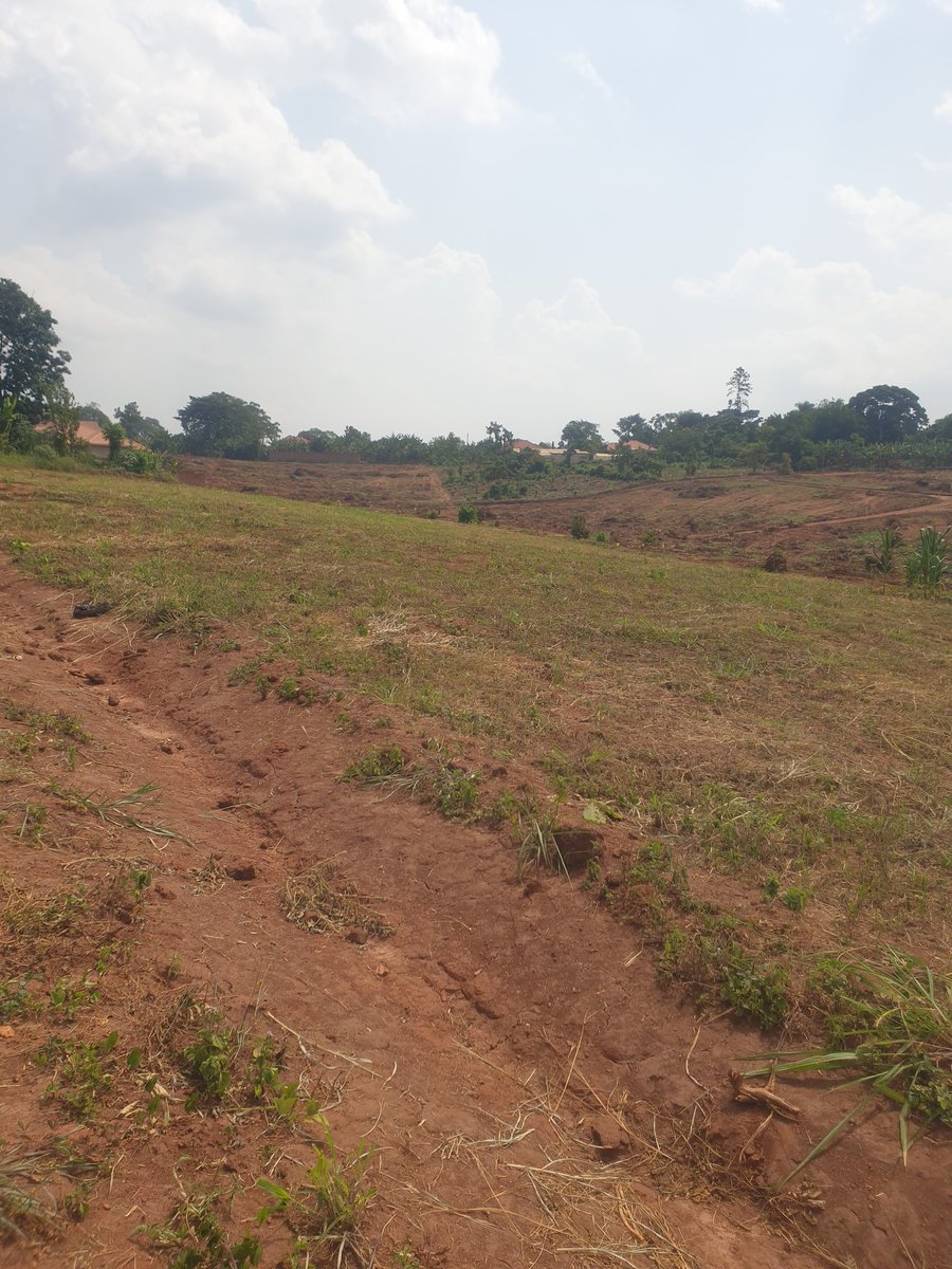Mrlandug's tweet photo. Discover Your Dream Gayaza Town land at Gayaza Makenke Estate! Secure your 50x100 ft. plot for just 60M Negotiable
20kms from City Square Kampala. Act now to invest in your future!
0780315383 | 0709083330
#RealEstateDeals #Dreamland  #landHunting #PriceSlash  #SpecialOffers https://t.co/FP4cOrU8ZN